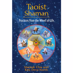 ISBN Taoist Shaman, English, Trade Paperback, 192 pages