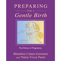 ISBN Preparing for a Gentle Birth, English, Trade Paperback, 192 pages