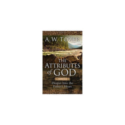 The Attributes of God Volume 2