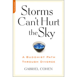 ISBN The Storms Can't Hurt the Sky book Health, mind & body English Paperback 288 pages
