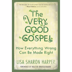 ISBN The Very Good Gospel, Paperback, 240 pages