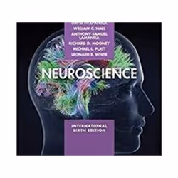 ISBN Neuroscience 6e ISE, Medicine, English, Paperback, 960 pages