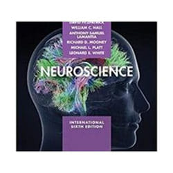 ISBN Neuroscience 6e ISE book Medicine English Paperback 960 pages