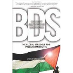 ISBN Boycott, Divestment, Sanctions : Struggle for Palestinian Civil Rights book History English 320 pages