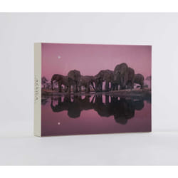 ISBN Into Africa: Blank Boxed Notecards
