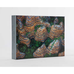ISBN Art Wolfe: Extraordinary Earth Blank Boxed Notecards