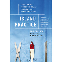 ISBN Island Practice book History English Paperback 304 pages