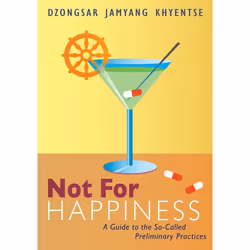 ISBN Not for Happiness, Paperback, 240 pages