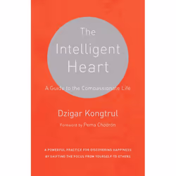 ISBN The Intelligent Heart, Paperback, 248 pages