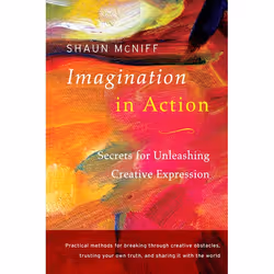 ISBN Imagination in Action, Paperback, 256 pages