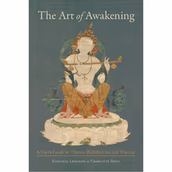 ISBN The Art of Awakening, Paperback, 496 pages