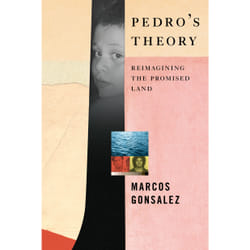 ISBN Pedro's Theory book English Hardcover 304 pages