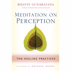 ISBN Meditation on Perception, English, Trade Paperback, 168 pages