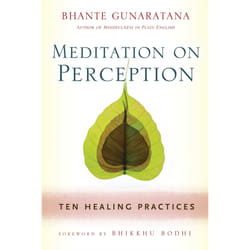 ISBN Meditation on Perception