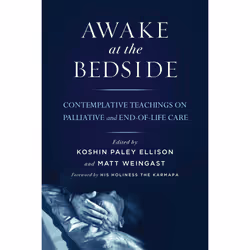 ISBN Awake at the Bedside, English, Trade Paperback, 368 pages