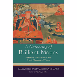 ISBN A Gathering of Brilliant Moons, English, Trade Paperback, 344 pages