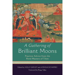 ISBN A Gathering of Brilliant Moons