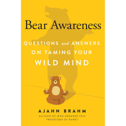 ISBN Bear Awareness