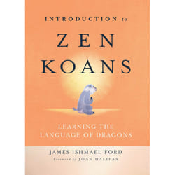 ISBN Introduction to Zen Koans book Religion English Paperback 264 pages