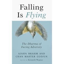ISBN Falling is Flying book Religion English Paperback 152 pages