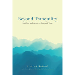 ISBN Beyond Tranquility book Religion English Paperback 248 pages