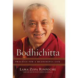 ISBN Bodhichitta book Religion English Paperback 336 pages