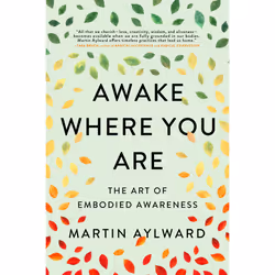 ISBN Awake Where You Are, Health, mind & body, English, Paperback, 232 pages