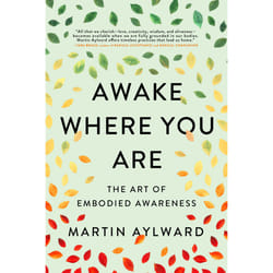 ISBN Awake Where You Are book Health, mind & body English Paperback 232 pages