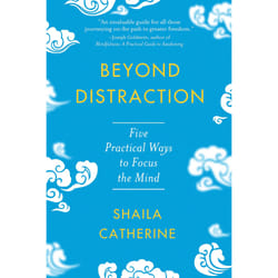 ISBN Beyond Distraction book Religion English Paperback 240 pages