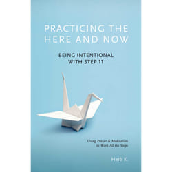 ISBN Practicing the Here and Now