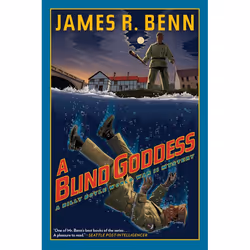 ISBN A Blind Goddess, Fiction, English, Paperback, 336 pages