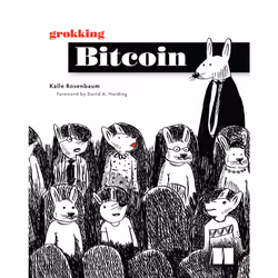ISBN Grokking Bitcoin, Business & finance, English, Paperback, 480 pages