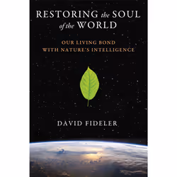 ISBN Restoring the Soul of the World, English, Trade Paperback, 320 pages