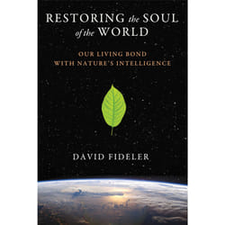 ISBN Restoring the Soul of the World