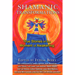 ISBN Shamanic Transformations, English, Trade Paperback, 320 pages