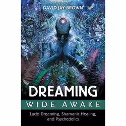 ISBN Dreaming Wide Awake, English, Trade Paperback, 416 pages