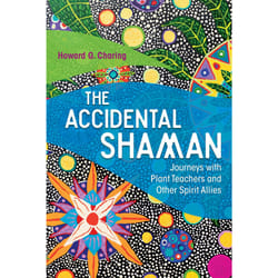 ISBN The Accidental Shaman