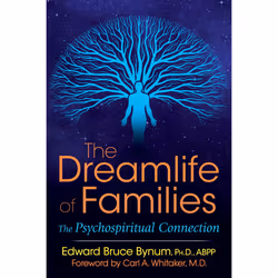 ISBN The Dreamlife of Families, English, Paperback, 288 pages