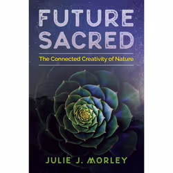 ISBN Future Sacred, Science & nature, English, Paperback, 272 pages