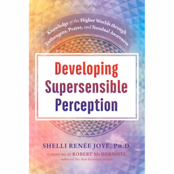 ISBN Developing Supersensible Perception, Psychology, English, Hardcover, 192 pages