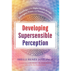 ISBN Developing Supersensible Perception book Psychology English Hardcover 192 pages
