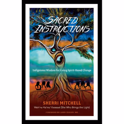 ISBN Sacred Instructions, Paperback, 256 pages