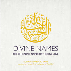 ISBN Divine Names book History English Hardcover 388 pages