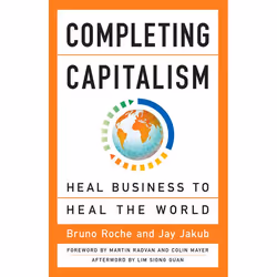 ISBN Completing Capitalism, Paperback, 200 pages