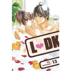 ISBN LDK 13 book English Paperback 176 pages