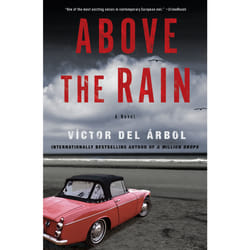 ISBN Above the Rain book English Paperback 608 pages