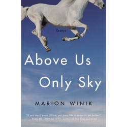 ISBN Above Us Only Sky book English Paperback 336 pages