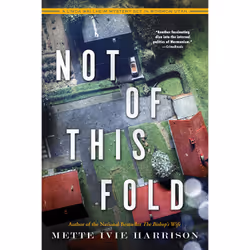 ISBN Not of This Fold, English, Paperback, 336 pages
