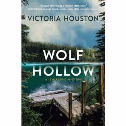 ISBN Wolf Hollow, English, Hardcover, 336 pages