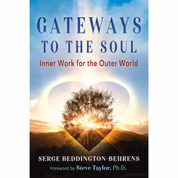 ISBN Gateways to the Soul, Health, mind & body, English, Paperback, 304 pages